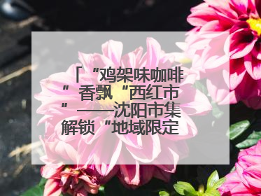 “鸡架味咖啡”香飘“西红市”——沈阳市集解锁“地域限定”消费新场景