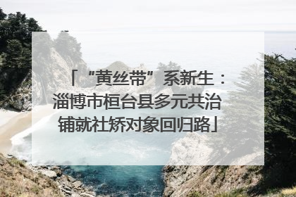“黄丝带”系新生：淄博市桓台县多元共治铺就社矫对象回归路