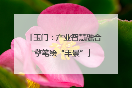 玉门：产业智慧融合 擎笔绘“丰景”