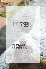 王学勤，升副部