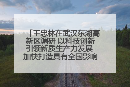 王忠林在武汉东湖高新区调研 以科技创新引领新质生产力发展 加快打造具有全国影响力的科技创新高地