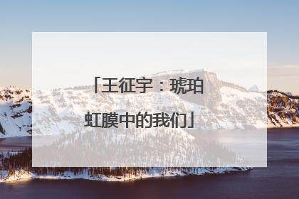 王征宇：琥珀虹膜中的我们