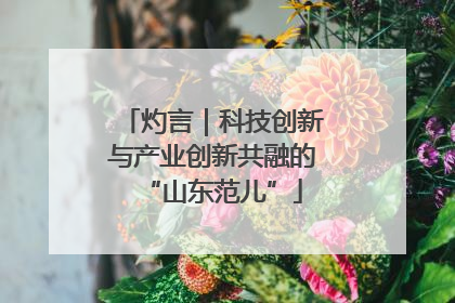 灼言｜科技创新与产业创新共融的“山东范儿”