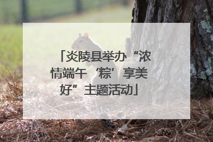炎陵县举办“浓情端午‘粽’享美好”主题活动