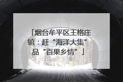 烟台牟平区王格庄镇：赶“海洋大集” 品“百果乡情”