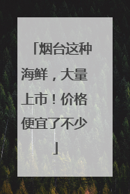 烟台这种海鲜，大量上市！价格便宜了不少