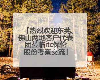 热烈欢迎东莞、佛山两地客户代表团莅临itc保伦股份考察交流