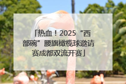 热血！2025“西部碗”腰旗橄榄球邀请赛成都双流开赛