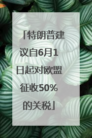特朗普建议自6月1日起对欧盟征收50%的关税