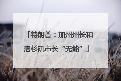 特朗普：加州州长和洛杉矶市长“无能”