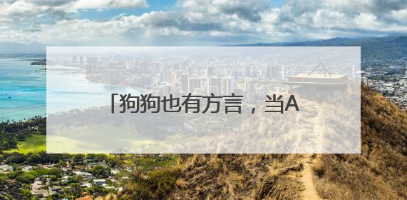 狗狗也有方言，当AI开始翻译动物语言