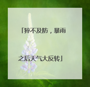 猝不及防，暴雨之后天气大反转