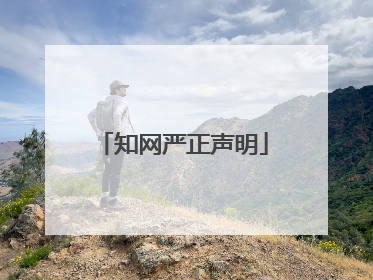知网严正声明
