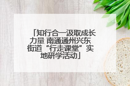 知行合一汲取成长力量 南通通州兴东街道“行走课堂”实地研学活动