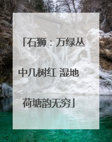 石狮：万绿丛中几树红 湿地荷塘韵无穷