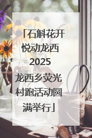 石斛花开 悦动龙西 2025龙西乡荧光村跑活动圆满举行