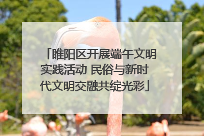 睢阳区开展端午文明实践活动 民俗与新时代文明交融共绽光彩