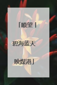 瞭望丨碧海蓝天映煤港