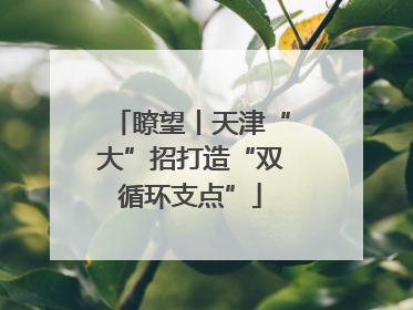 瞭望丨天津“大”招打造“双循环支点”