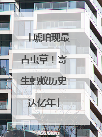 琥珀现最古虫草！寄生蚂蚁历史达亿年
