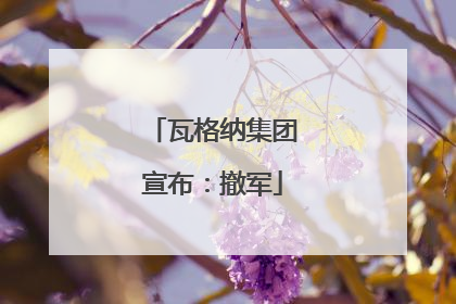瓦格纳集团宣布：撤军