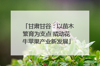 甘肃甘谷：以苗木繁育为支点 撬动花牛苹果产业新发展