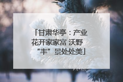 甘肃华亭：产业花开家家富 沃野“丰”景处处美
