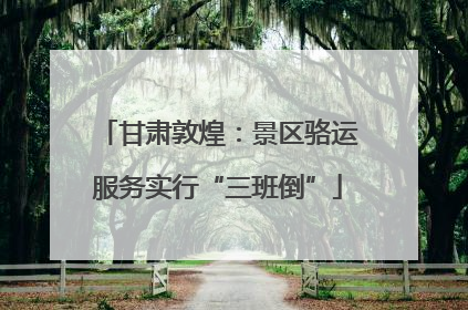 甘肃敦煌：景区骆运服务实行“三班倒”