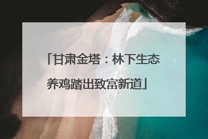 甘肃金塔：林下生态养鸡踏出致富新道