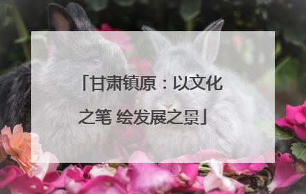 甘肃镇原：以文化之笔 绘发展之景