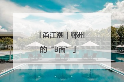甬江潮｜鄞州的“B面”