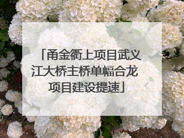 甬金衢上项目武义江大桥主桥单幅合龙 项目建设提速