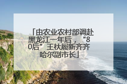 由农业农村部调赴黑龙江一年后，“80后”王杕履新齐齐哈尔副市长