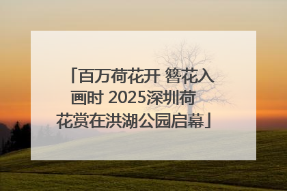 百万荷花开 簪花入画时 2025深圳荷花赏在洪湖公园启幕