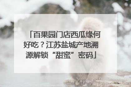 百果园门店西瓜缘何好吃？江苏盐城产地溯源解锁“甜蜜”密码