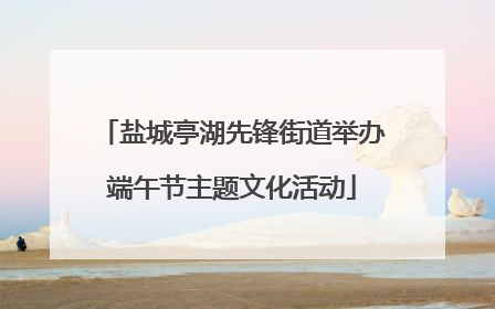 盐城亭湖先锋街道举办端午节主题文化活动