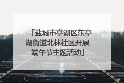 盐城市亭湖区东亭湖街道北林社区开展端午节主题活动