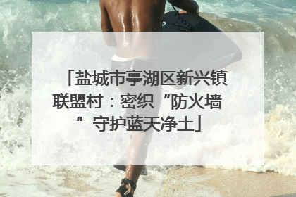 盐城市亭湖区新兴镇联盟村：密织“防火墙”守护蓝天净土