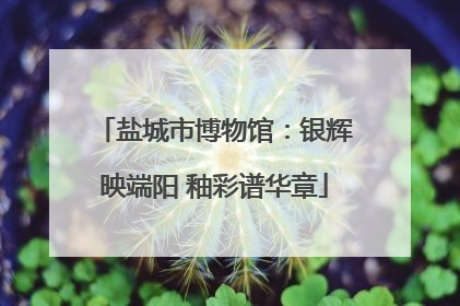 盐城市博物馆：银辉映端阳 釉彩谱华章