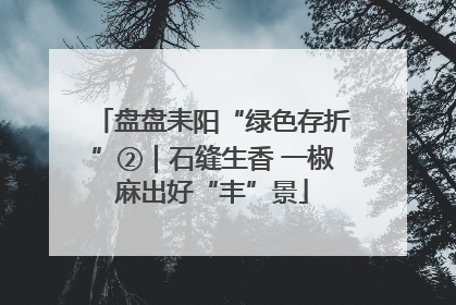 盘盘耒阳“绿色存折”②｜石缝生香 一椒麻出好“丰”景