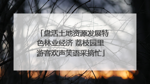盘活土地资源发展特色林业经济 荔枝园里游客欢声笑语采摘忙