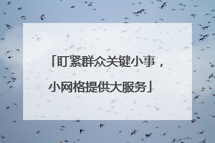 盯紧群众关键小事，小网格提供大服务