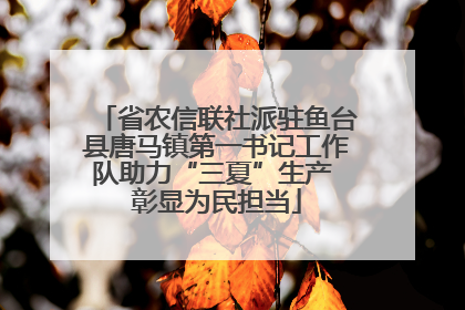 省农信联社派驻鱼台县唐马镇第一书记工作队助力“三夏”生产 彰显为民担当