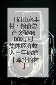 眉山永丰村：粮食总产突破4600吨 村集体经济收入三年倍增｜牵挂的村