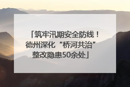 筑牢汛期安全防线！德州深化“桥河共治”整改隐患50余处
