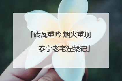 砖瓦重吟 烟火重现——泰宁老宅涅槃记