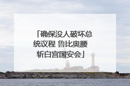 确保没人破坏总统议程 鲁比奥腰斩白宫国安会