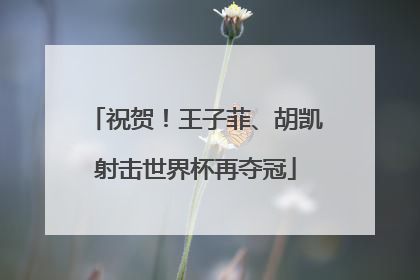 祝贺！王子菲、胡凯射击世界杯再夺冠