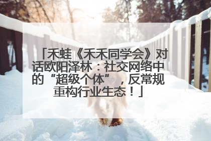 禾蛙《禾禾同学会》对话欧阳泽林：社交网络中的“超级个体”，反常规重构行业生态！