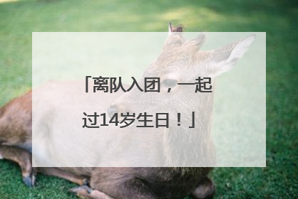 离队入团，一起过14岁生日！